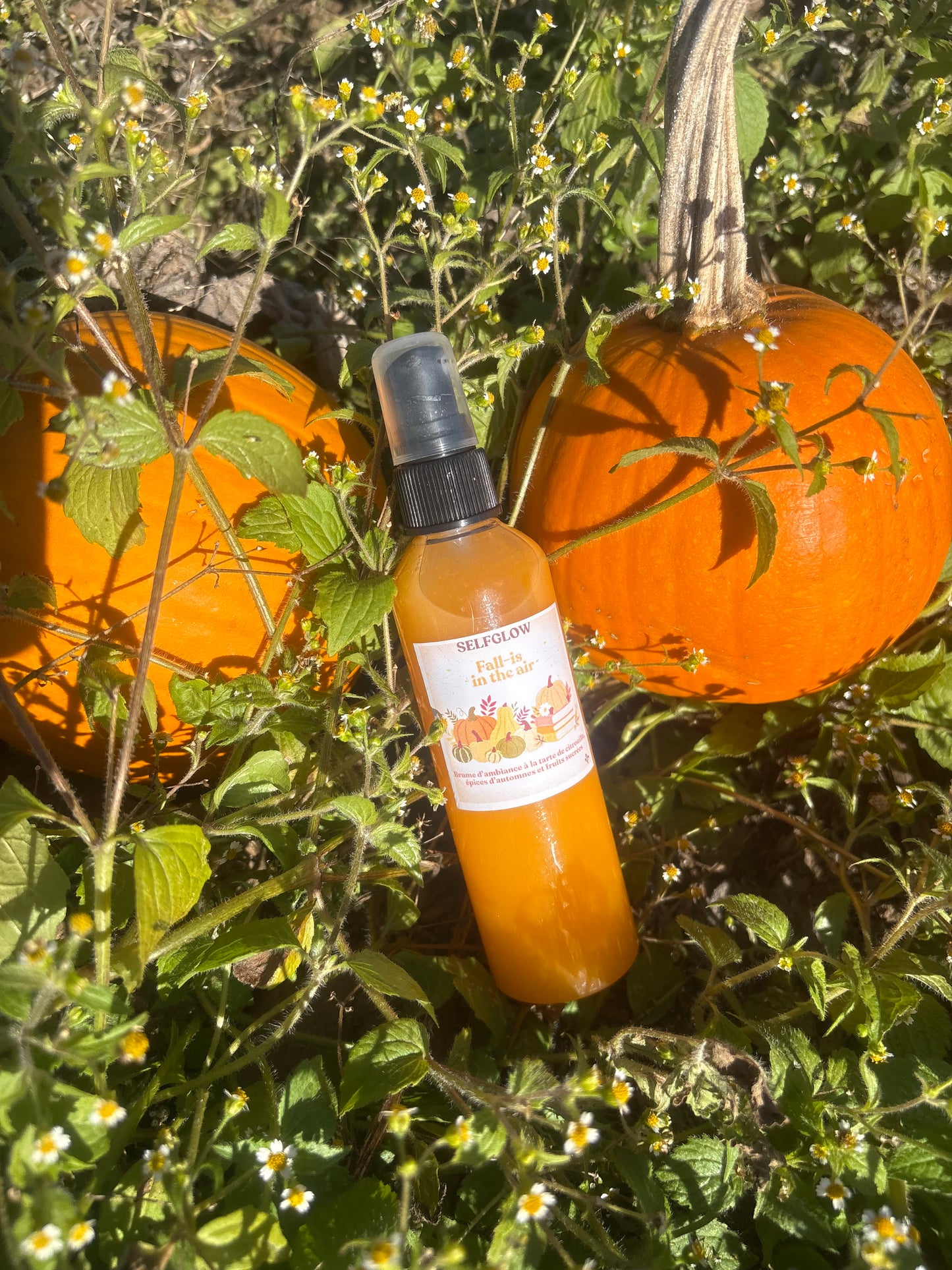 Brume d’ambiance - Fall-is in the air 🍂