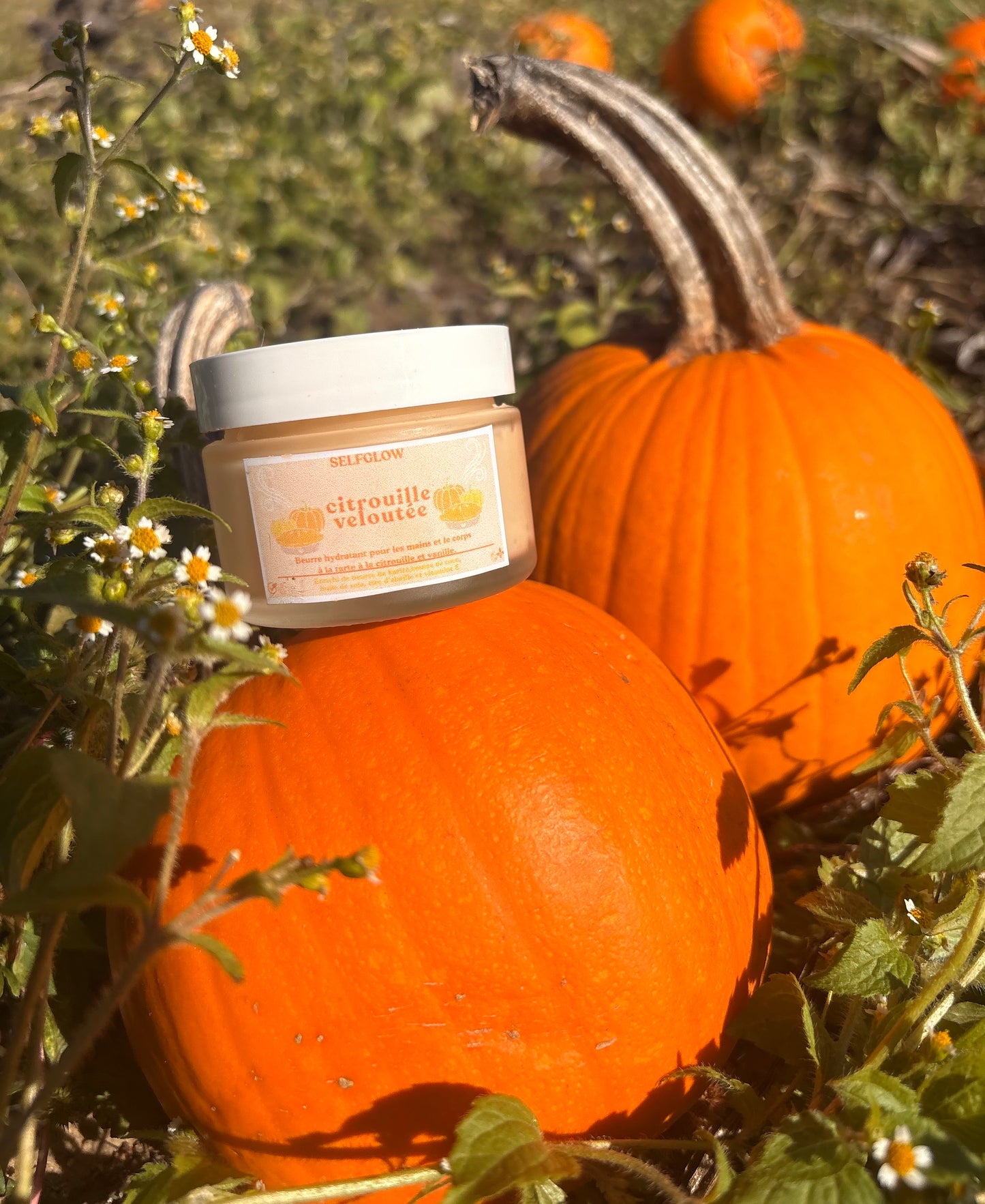 Beurre hydratante mains/corps riche - Citrouille veloutée
